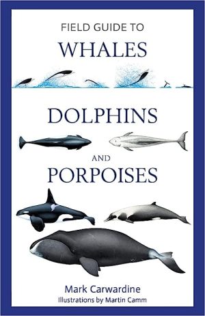 Field Guide to Whales Dolphins and Porpoises