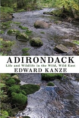 Adirondack Life and Wildlife in the Wild Wild East