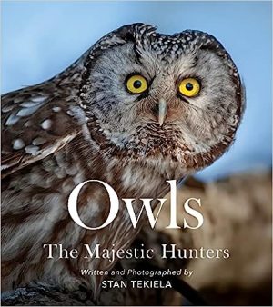 Owls The Majestic Hunters