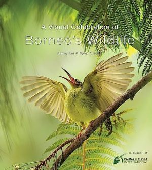 A Visual Celebration of Borneos Wildlife