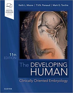 The Developing Human Clinically Oriented Embryology 11th Ed