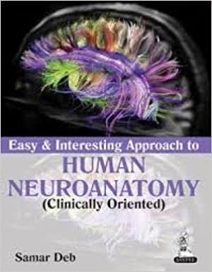 Easy and Interesting Approach to Human Neuroanatomy