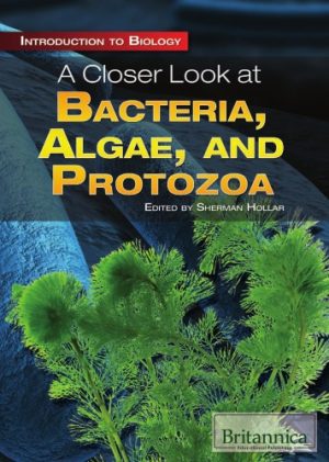 A Closer Look at Bacteria Algae and Protozoa