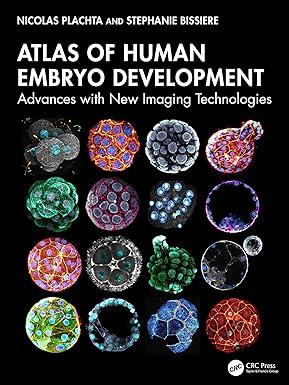 Atlas of Human Embryo Development Advances with New Imaging Technologies